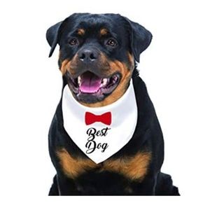 “Best Dog” Dog Bandana